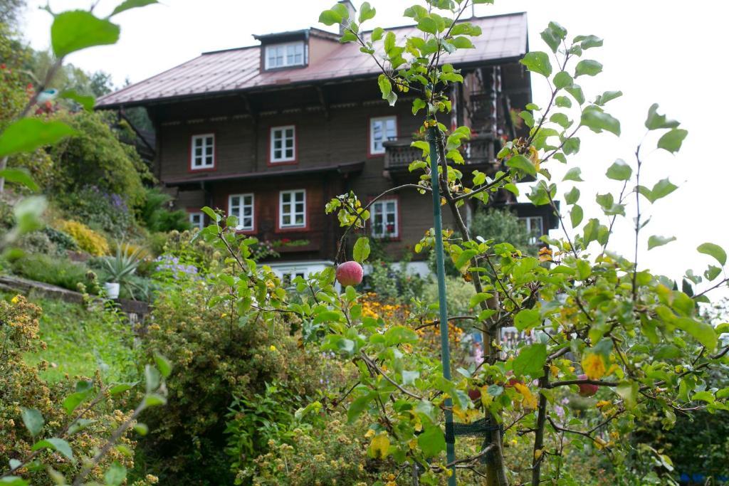 Landhaus Alpina Guest House มิทเทอร์ซิลล์ ภายนอก รูปภาพ